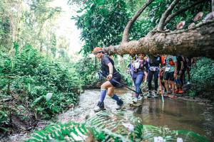 BIB: 
                            <button type="button" onclick="openModal(25471980)" class="btn btn-primary btn-sm float-right btn-popup" data-toggle="modal" data-target=".modal-high-quality">
                        <i class="fas fa-shopping-cart"></i> Add to Cart
                    </button>
                                            <button type="button" onclick="isThisMe(25471980, true)" class="btn btn-success btn-sm float-right btn-popup btn-isme hidden" data-toggle="tooltip" data-placement="bottom" title="นี่คือรูปของคุณใช่ไหม คลิกที่นี่เพื่อเอาเข้าอัลบั้ม">
                        <i class="fas fa-plus"></i> Add to album
                    </button>
                    <button type="button" onclick="isThisMe(25471980, false)" class="btn btn-warning btn-sm float-right btn-popup btn-isnotme hidden">
                        <i class="fas fa-ban"></i> Remove from album
                    </button>